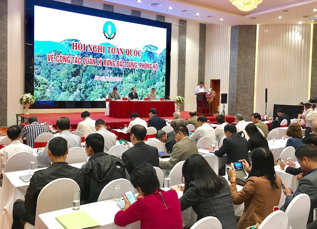 Trung bình mỗi năm, Việt Nam trồng mới gần 11.500ha rừng phòng hộ, đặc dụng - Ảnh 1