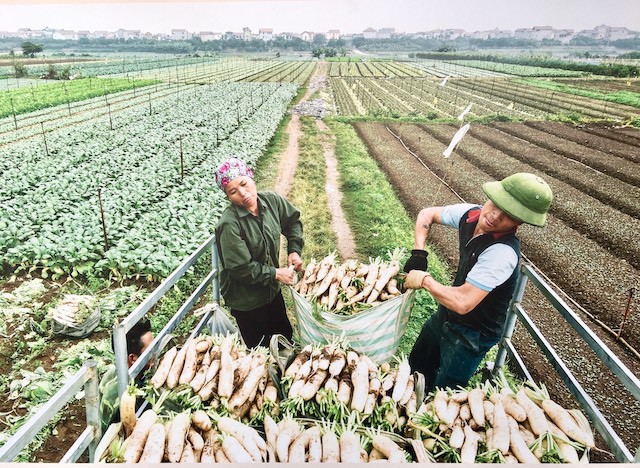 Khai mạc triển lãm “Mê Linh – Đất và Người” - Ảnh 2