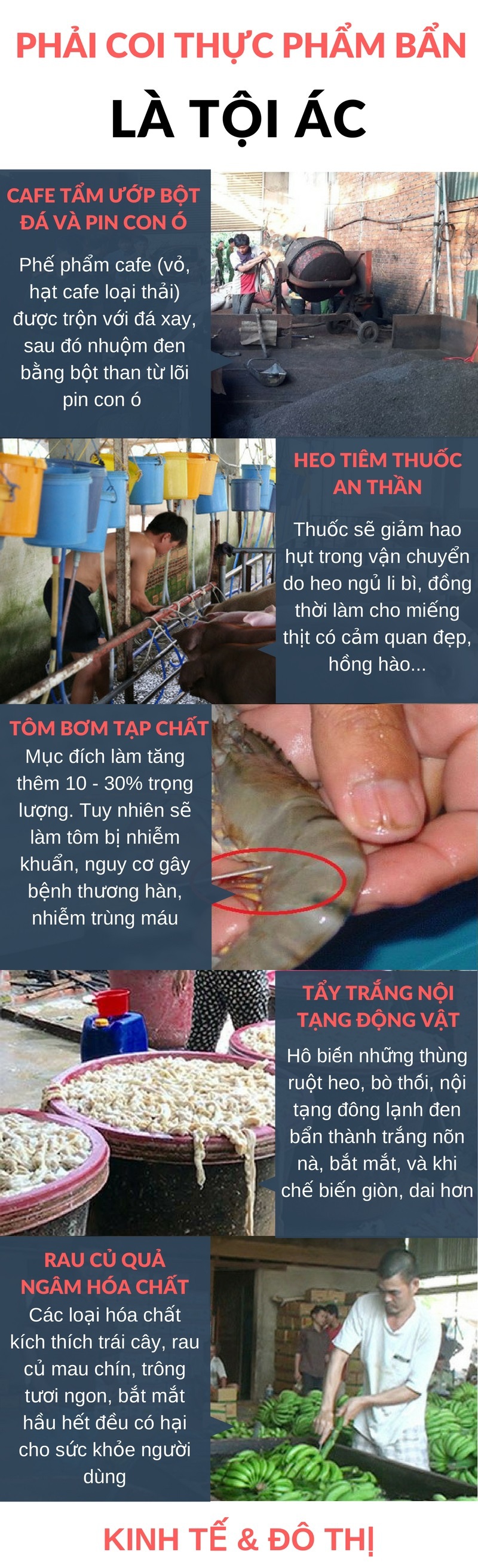 [Infographic] Vấn nạn thực phẩm bẩn: Muôn kiểu người Việt hại người Việt - Ảnh 1
