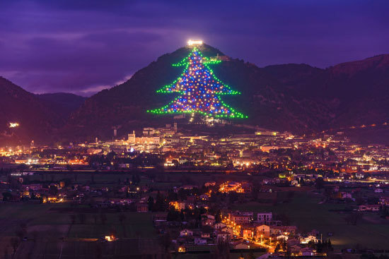 Chiêm ngưỡng những cây thông độc đáo nhất thế giới mùa Giáng sinh - Ảnh 7