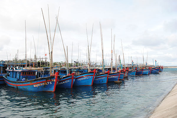 Bộ Nông nghiệp công bố 66 khu neo đậu tránh trú bão cho tàu cá - Ảnh 1