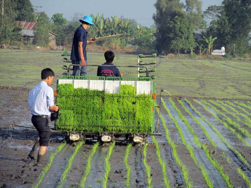 Xã hội hóa khuyến nông, chuyển giao công nghệ trong nông nghiệp - Ảnh 1
