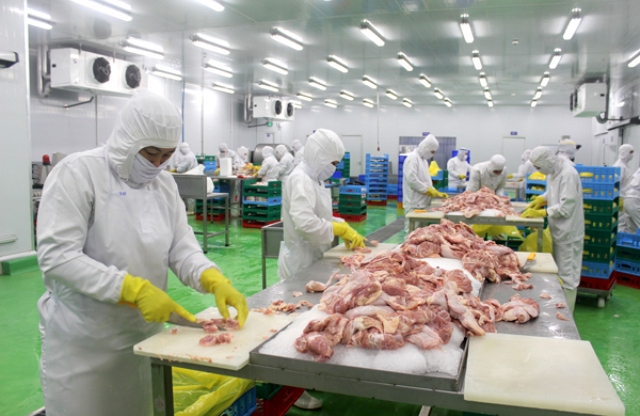 Việt Nam xuất khẩu 11 triệu USD thịt gà sang Nhật Bản - Ảnh 1