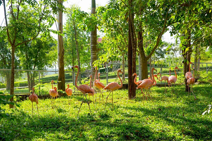 Mở cửa công viên nước lớn nhất Nghệ An: Chào hè với chương trình giảm 30% giá vé - Ảnh 4