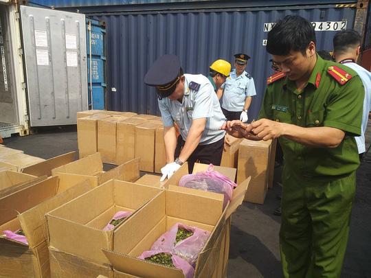 Hải Phòng: Thu giữ 2,5 tấn lá khat tại cảng Hải Phòng - Ảnh 2