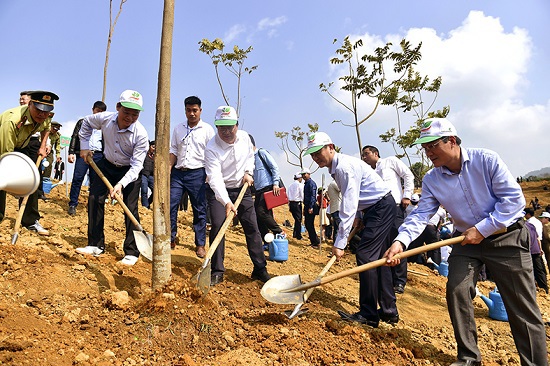 Tổng Bí thư, Chủ tịch nước Nguyễn Phú Trọng phát động Tết trồng cây - Ảnh 4