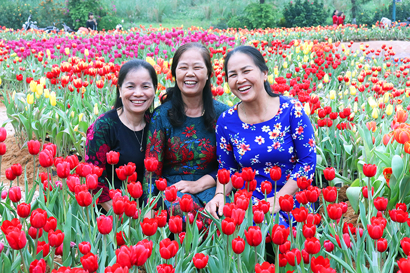 “Check in” cùng rừng hoa Tuylip tại Hà Nội - Ảnh 7
