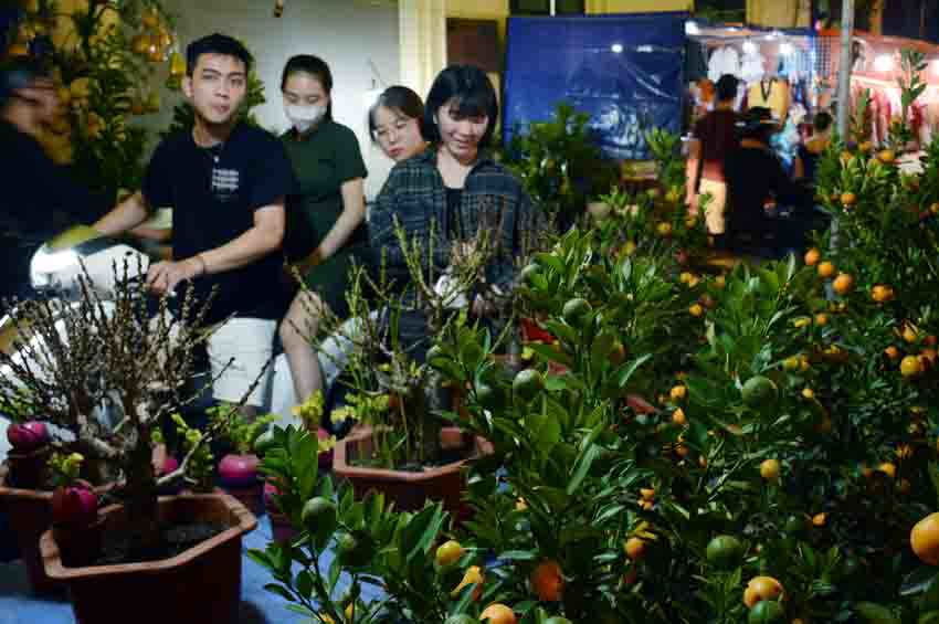 Quận Hoàn Kiếm: Khai mạc chợ hoa xuân Canh Tý 2020 - Ảnh 2