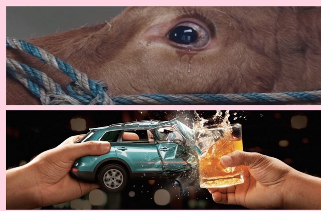 Từ 1/1/2020: Chọn bia rượu hoặc lái xe, không để vật nuôi nhìn đồng loại bị giết mổ - Ảnh 1