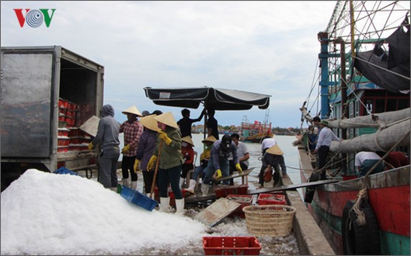 Phó Thủ tướng Trương Hòa Bình thăm ngư dân Quảng Bình bị thiệt hại do sự cố môi trường - Ảnh 2