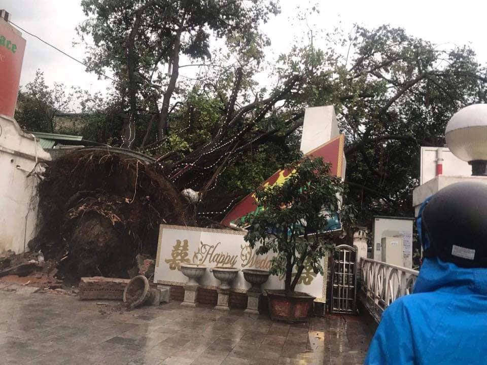 [Ảnh] Hà Nội: Mưa gió khủng khiếp, cây đổ hàng loạt khiến 1 người thiệt mạng - Ảnh 17