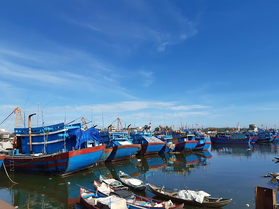 Quảng Ngãi: Khu neo đậu tàu thuyền vừa thiếu lại vừa yếu - Ảnh 2