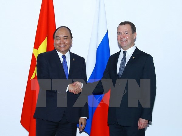 Thủ tướng Nguyễn Xuân Phúc gặp gỡ Thủ tướng Nga Dmitry Medvedev - Ảnh 1