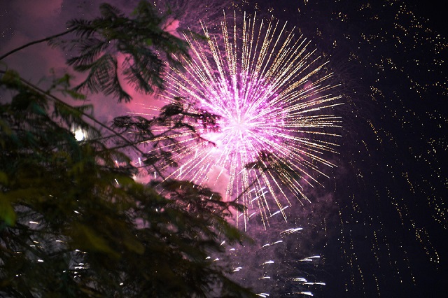 Pháo hoa rực sáng bầu trời TP Hồ Chí Minh mừng 43 năm thống nhất đất nước - Ảnh 3