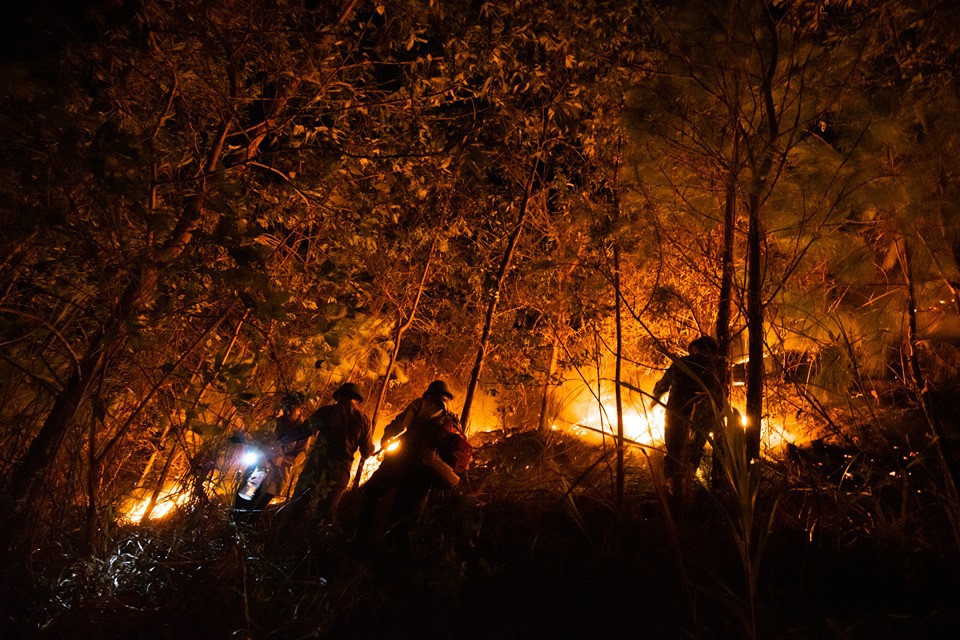 Hà Tĩnh: Nhiều ha rừng ở Hương Sơn lại tan hoang vì “giặc” lửa - Ảnh 2