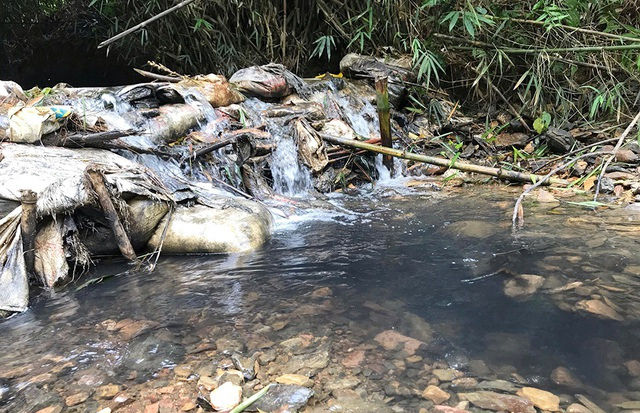 Thủ tướng yêu cầu điều tra, làm rõ nguyên nhân nước sạch sông Đà bị ô nhiễm - Ảnh 1