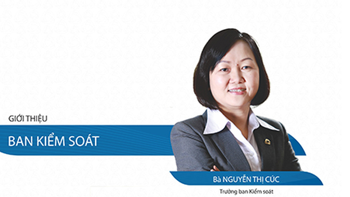 Bà Nguyễn Thị Cúc đã từ nhiệm Thành viên HĐQT PNJ trước khi bị khởi tố - Ảnh 1