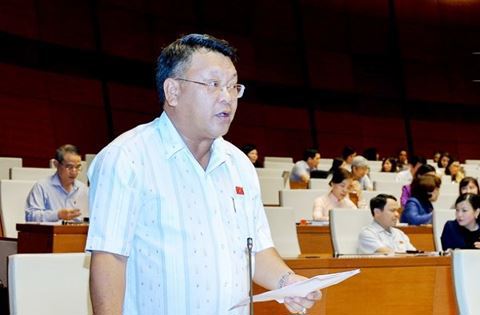 Bộ trưởng Đào Ngọc Dung: Việt Nam đủ khung pháp lý xử lý hành vi xâm hại trẻ em - Ảnh 4