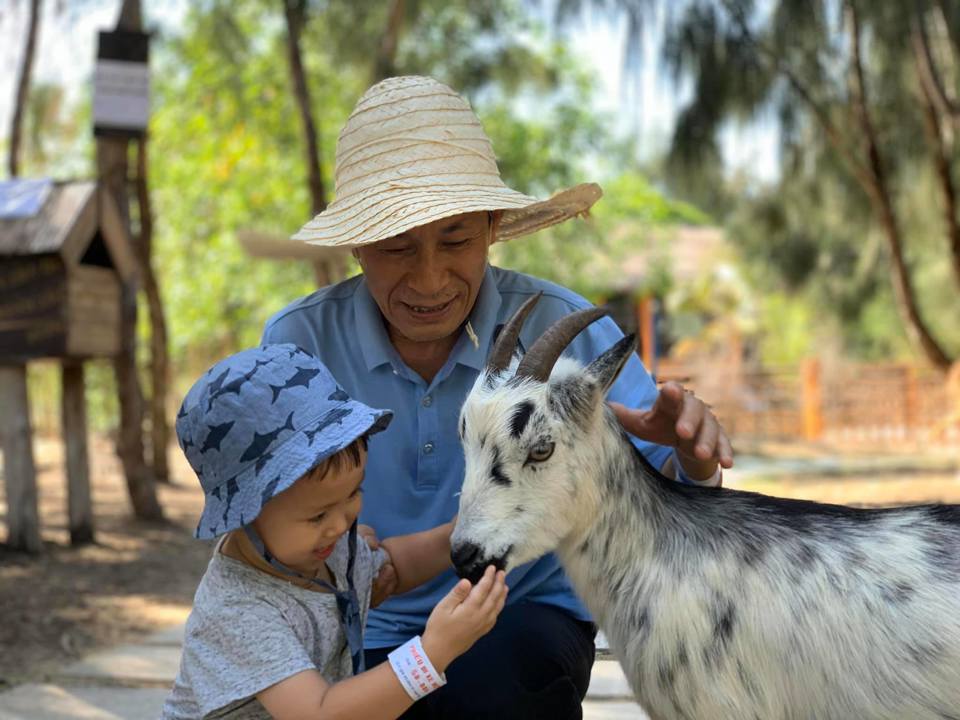 Khám phá FLC Zoo Safari Park – vườn thú bán hoang dã độc đáo tại Quy Nhơn - Ảnh 2