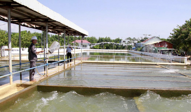Dự án Nhà máy nước sạch Hòa Liên - Đà Nẵng: Lùm xùm trong lựa chọn nhà thầu gói thầu EPC - Ảnh 1