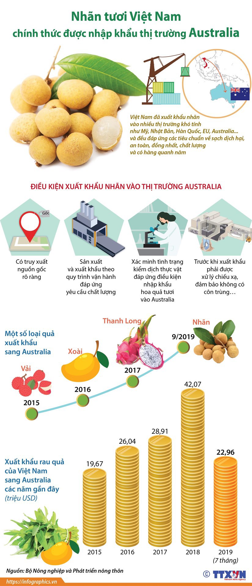 [Infographics] Nhãn tươi Việt Nam chính thức được nhập khẩu thị trường Australia - Ảnh 1