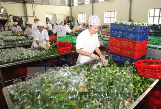 Tổn thất sau thu hoạch của nhiều ngành hàng nông sản Việt Nam lên tới 30% - Ảnh 1
