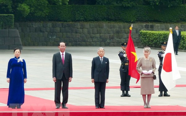 Chủ tịch nước Trần Đại Quang hội kiến Nhà vua Nhật Bản Akihito - Ảnh 1