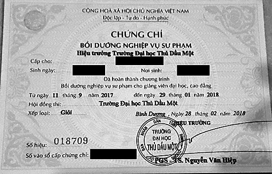 Quy định giảng viên đại học phải có chứng chỉ nghiệp vụ sư phạm: Phi lý nhưng vẫn ép thực hiện - Ảnh 1