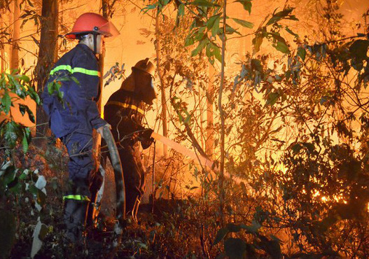 Phòng cháy, chữa cháy rừng: Các địa phương nguy cơ cháy rừng ở cấp cực kỳ nguy hiểm - Ảnh 1