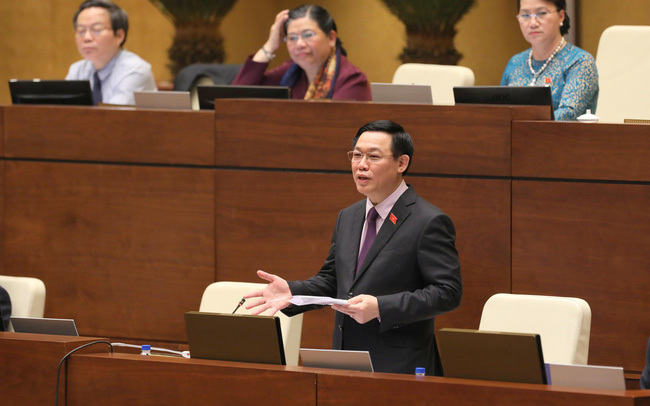 Đại biểu Quốc hội: Phần trả lời chất vấn của Phó Thủ tướng Vương Đình Huệ sâu sắc và mang tầm chiến lược - Ảnh 1