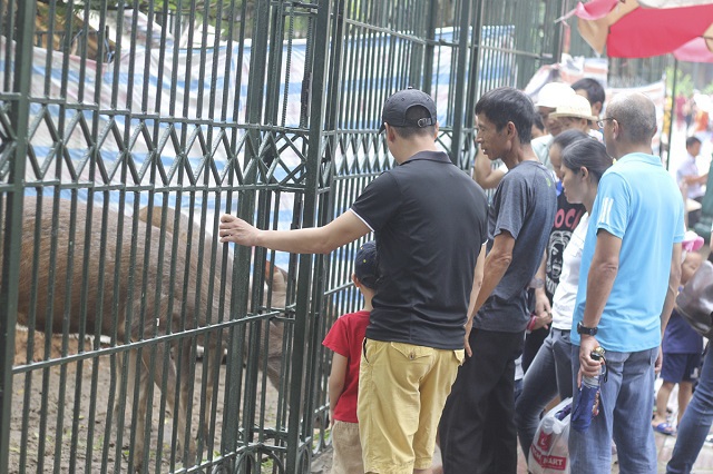 Hà Nội: Công viên, vườn thú vẫn chật kín người vào ngày cuối dịp nghỉ lễ 2/9 - Ảnh 2