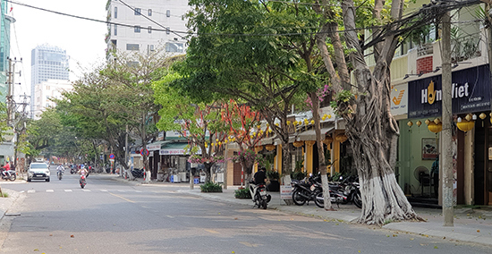 Phố phường Đà Nẵng vắng vẻ trong ngày đầu cách ly toàn xã hội - Ảnh 13