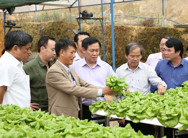Liên kết sản xuất, tiêu thụ nông sản: Hướng phát triển cho hợp tác xã - Ảnh 1