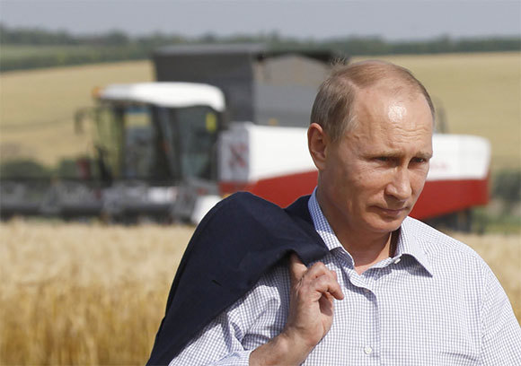 Nông nghiệp Nga ra sao sau 5 năm cấm vận thực phẩm Mỹ, EU? - Ảnh 1