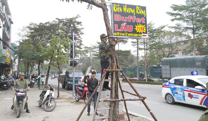 Phường Quan Hoa tăng cường xử lý vi phạm trật tự đô thị - Ảnh 1