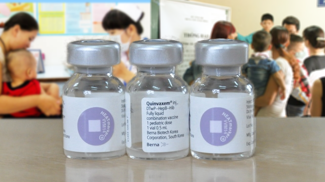 Việt Nam ngưng sử dụng vaccine Quinvaxem - Ảnh 1