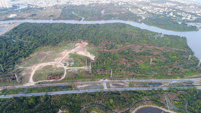 Đề xuất kỷ luật Phó Bí thư Thường trực Thành ủy TP Hồ Chí Minh Tất Thành Cang - Ảnh 1