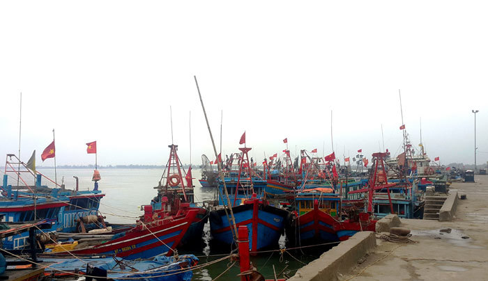 Hà Tĩnh: Hàng trăm tỷ đồng đầu tư nạo vét cảng Cửa Sót như “muối bỏ bể" - Ảnh 2