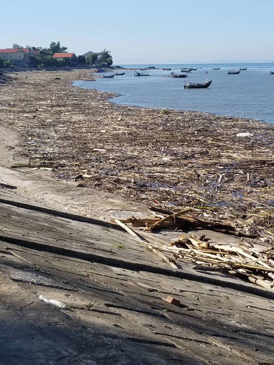 Quỳnh Lưu (Nghệ An): Rác thải trôi dạt trải dài hàng km dọc bờ biển - Ảnh 2