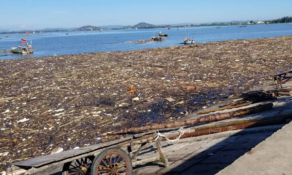 Quỳnh Lưu (Nghệ An): Rác thải trôi dạt trải dài hàng km dọc bờ biển - Ảnh 3