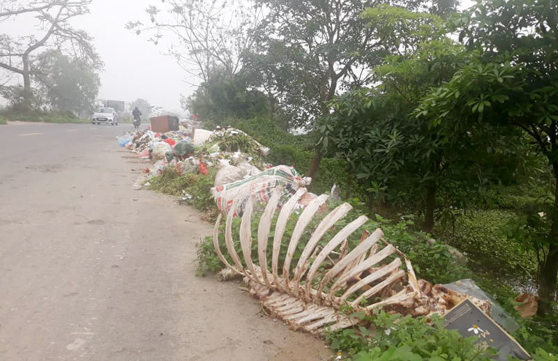 [Bạn đọc viết] Rác thải “tấn công” Tỉnh lộ 429 - Ảnh 1