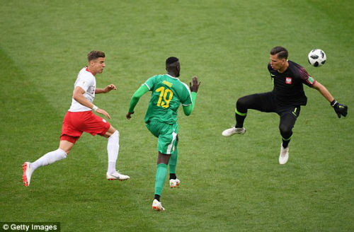 Senegal phản đòn sắc bén đánh bại Ba Lan - Ảnh 3