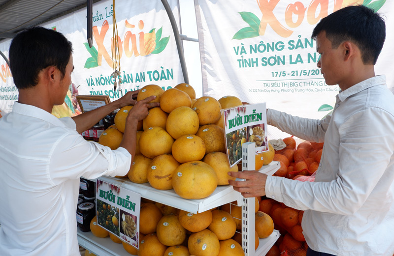 Vì sao Sơn La đưa được nhiều nông sản hàng hoá vào siêu thị và xuất khẩu - Ảnh 8