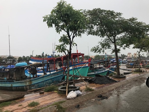 Bão số 16 - Tembin: Gió đang giật mạnh ở Côn Đảo, các tỉnh miền Nam mưa lớn - Ảnh 6