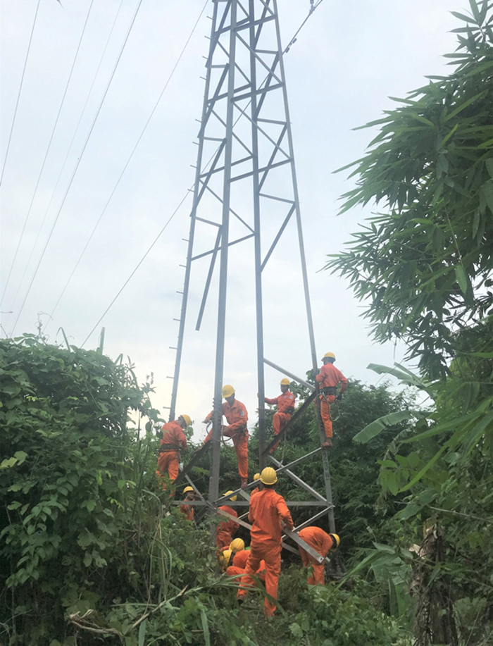 Điều tra vụ phá hoại công trình lưới điện quốc gia tại Quảng Trị - Ảnh 1