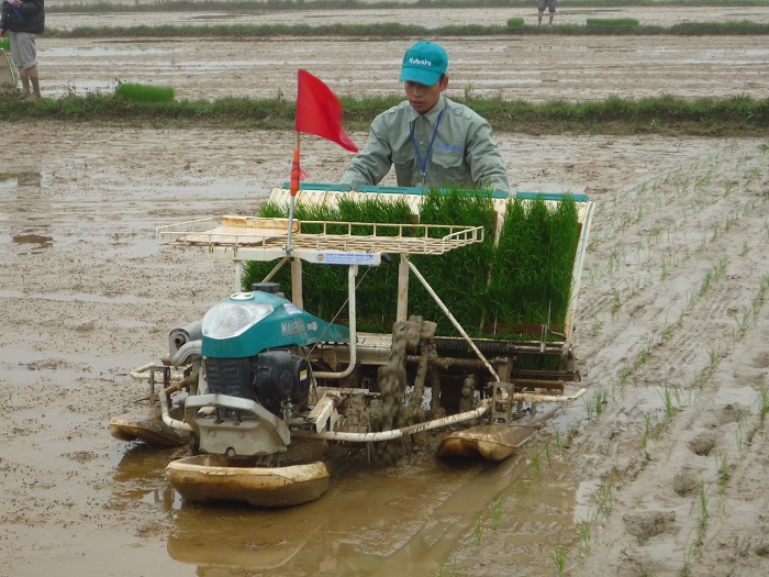 Sản xuất vụ Xuân ở Ứng Hòa: Về đích nhanh nhờ cơ giới hóa - Ảnh 1