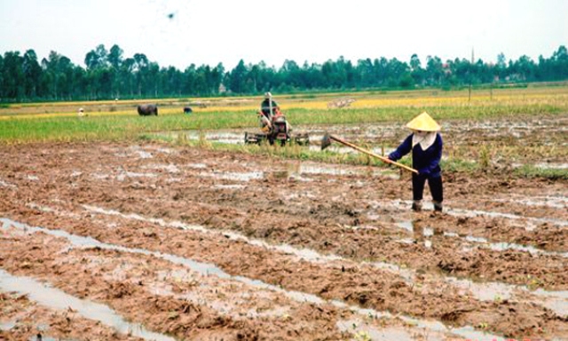 Nguy cơ thiếu nước vụ Xuân, Bộ Nông nghiệp khuyến nghị Hà Nội chuyển đổi 3.600ha đất lúa - Ảnh 1