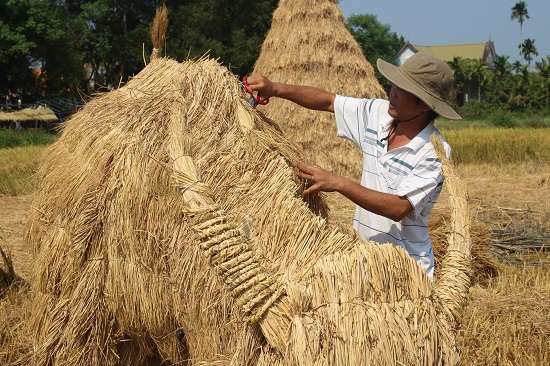 Lễ hội tôn vinh lúa nước tại quê hương cố Thủ tướng Phạm Văn Đồng - Ảnh 1