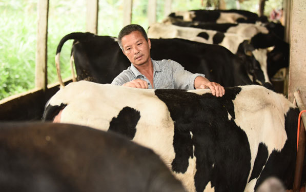 Độ an toàn của sữa tươi Cô Gái Hà Lan vượt chuẩn Việt Nam 11 lần - Ảnh 3