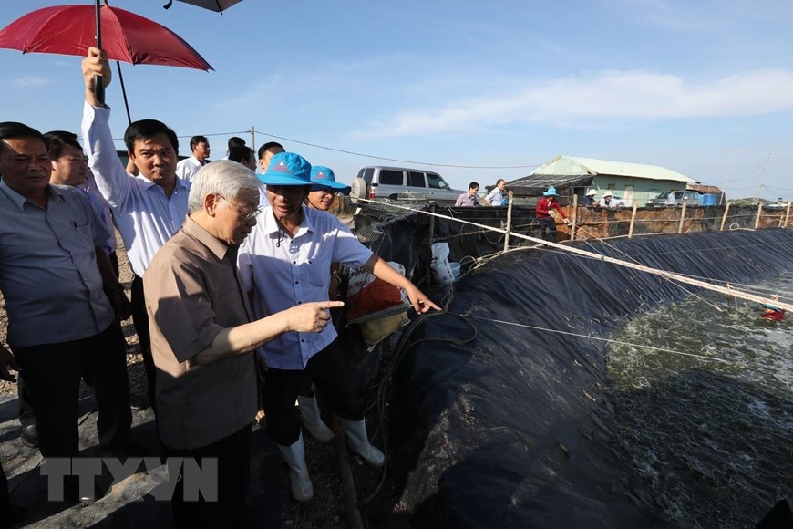 Hình ảnh Tổng Bí thư, Chủ tịch nước làm việc ở Kiên Giang - Ảnh 3